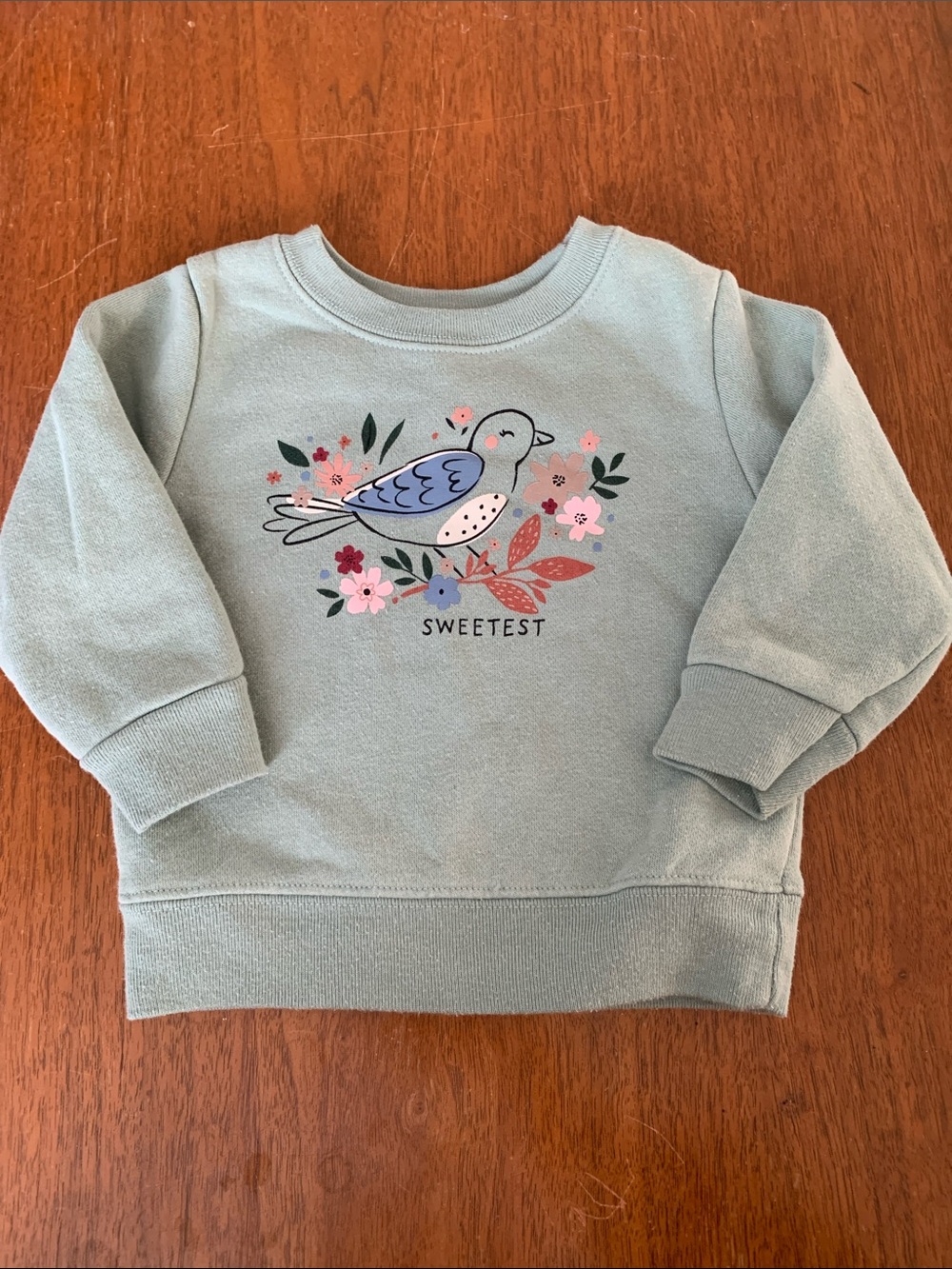🍓3/$10 Sweetest Bird Graphic Sweatshirt - Sage Green Kids size 6-9m